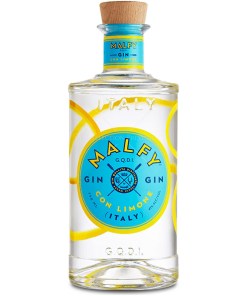 NORMINDIA GIN 41,4% 70CL